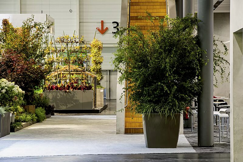 pflanzbehaelter-delhi__shoKAT0058627 Pflanzbehälter DELHI in clay ähnlich RAL 7006