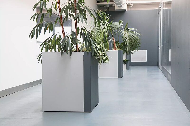 Pflanzbehälter DUO, quadratisch, Höhe 850 mm, in RAL 9006 weißaluminium und RAL 7012 basaltgrau