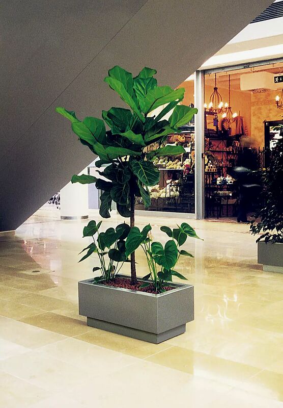 pflanzbehaelter-florium__shoKAT0019675 Pflanzbehälter FLORIUM, rechteckig, Breite 700 mm, in RAL 9007 graualuminium