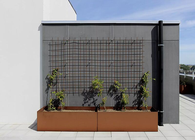 pflanzbehaelter-linn__shoKAT0073577 Pflanzbehälter LINN, rechteckig, aus Cortenstahl