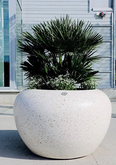 pflanzbehaelter-lunao__shoKAT0054730 Pflanzbehälter LUNAO aus Beton geschliffen, in Granitoptik weiß