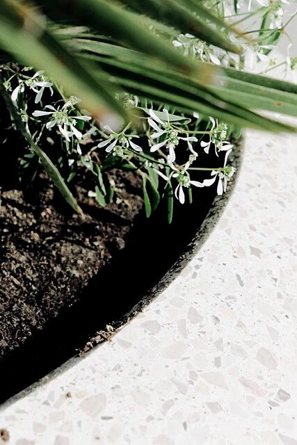 pflanzbehaelter-lunao__shoKAT0054731 Detail:Beton geschliffen, in Granitoptik weiß