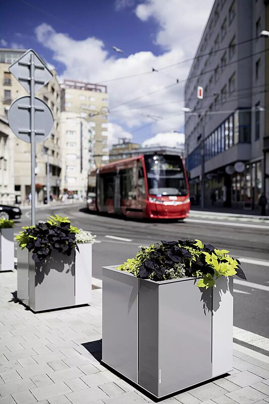 pflanzbehaelter-malageno__shoKAT0053869 Pflanzbehälter MALAGENO, 700 x 700 mm, in RAL 7035 lichtgrau und RAL 9007 graualuminium (zweifarbig auf Anfrage)