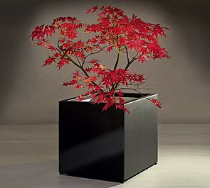 Pflanzbehälter MALOUT, 146 Liter, in RAL 9005 tiefschwarz