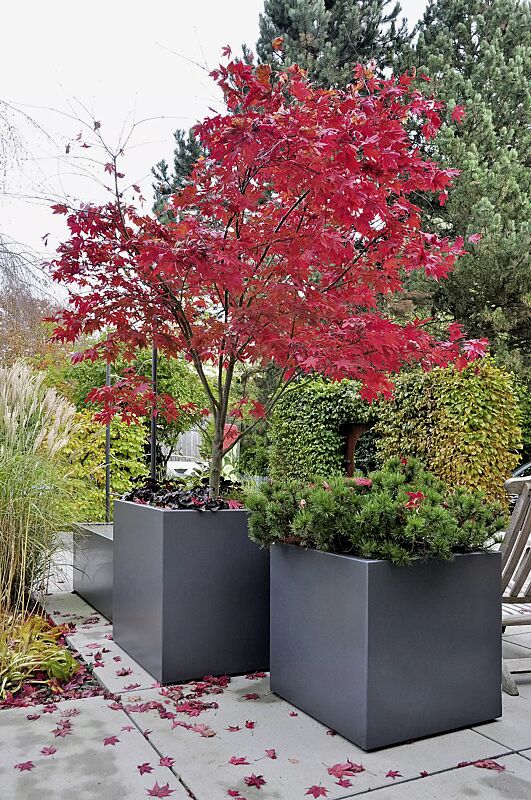 pflanzbehaelter-malout__shoKAT0031453 Pflanzbehälter MALOUT, 146 Liter und 246 Liter, in DB 703 eisenglimmer