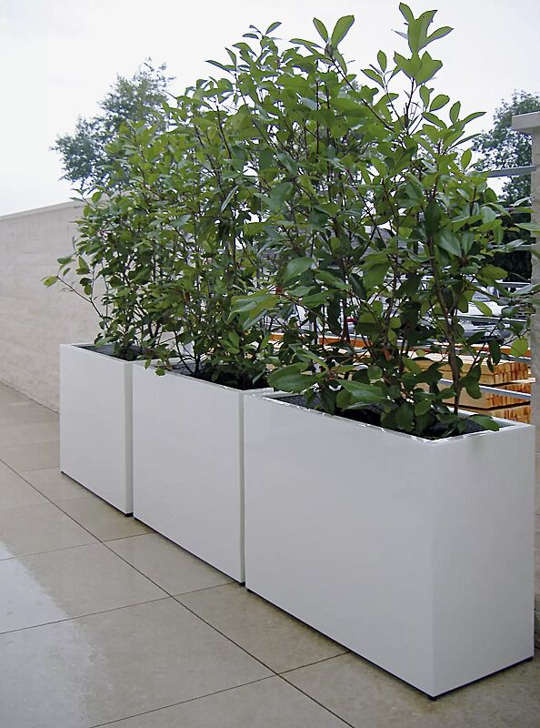 pflanzbehaelter-malout__shoKAT0031467 Pflanzbehälter MALOUT im Sondermaß H x B x T: 900 x 700 x 400 mm (auf Anfrage), in RAL 9002 grauweiß