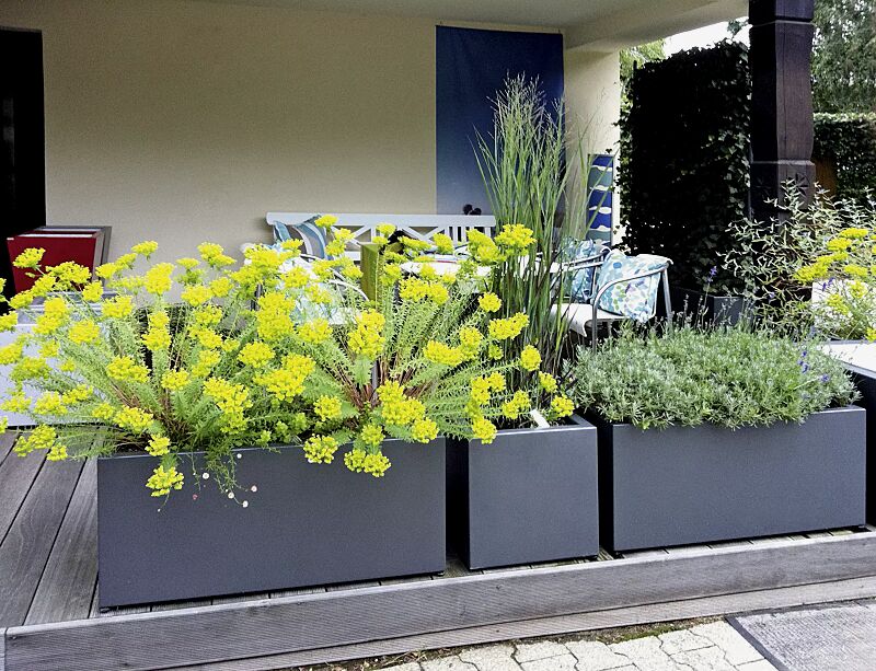 pflanzbehaelter-malout__shoKAT0039708 Pflanzbehälter MALOUT, 89 Liter bzw. 34 Liter, Höhe 400 mm, in DB 703 eisenglimmer