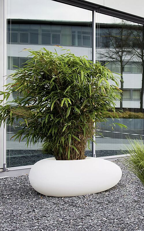 pflanzbehaelter-malur__shoKAT0042266 Pflanzbehälter MALUR-LIGHT, Höhe 500 mm, transluzent beleuchtet