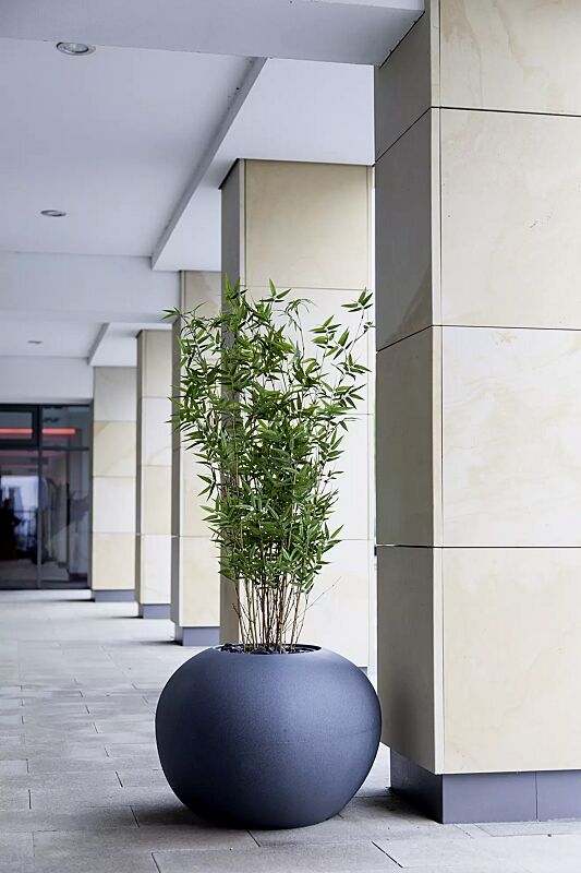 pflanzbehaelter-malur__shoKAT0058616 Pflanzbehälter MALUR, Höhe 490 mm, in granit dunkel