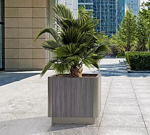 <div id="container" class="container"><div id="container" class="container">Pflanzbehälter PAOSA, Stahlteile in DB 701 eisenglimmer, Korpus aus grauem Zedernholz</div></div>