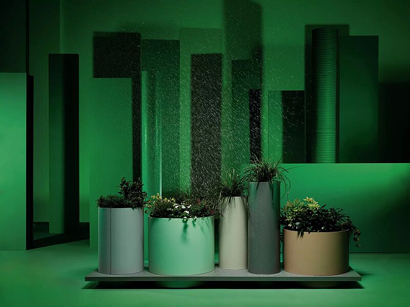 pflanzbehaelter-polys__shoKAT0070574 Pflanzbehälter POLYS mit rechteckiger Plattform, mit fünf zylindrischen Behältern in RAL 7035 lichtgrau, 6019 weißgrün, RAL 1013 perlweiß, RAL 7016 anthrazitgrau und RAL 1020 olivgelb