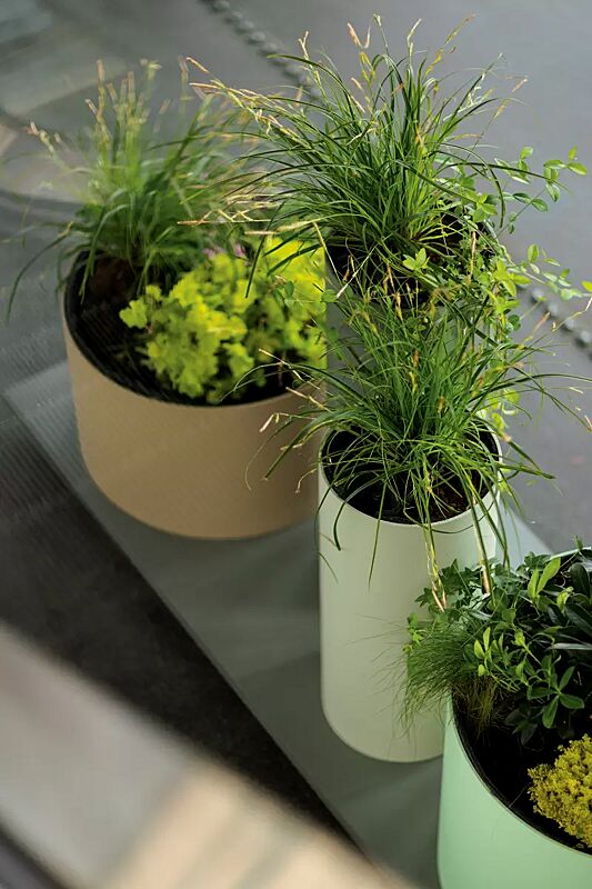 pflanzbehaelter-polys__shoKAT0070577 Detail: zylindrische Behälter in RAL 1019 graubeige, RAL 1013 perlweiß und RAL 6019 weißgrün