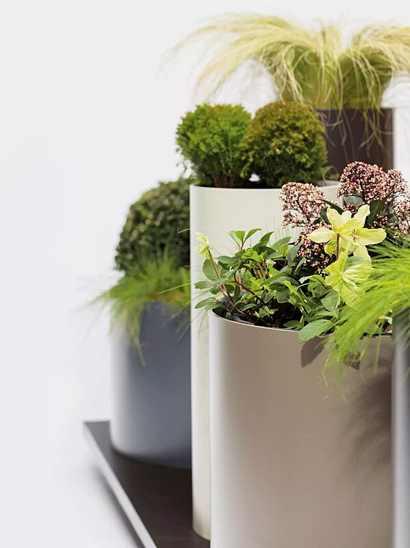pflanzbehaelter-polys__shoKAT0070668 Detail: zylindrische Pflanzbehälter in RAL 7006 beigegrau, RAL 1013 perlweiß und RAL 1019 graubeige