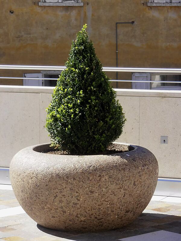 pflanzbehaelter-venere__shoKAT0037020 Pflanzbehälter VENERE aus rekonstituiertem Marmor gestockt, in porphyr