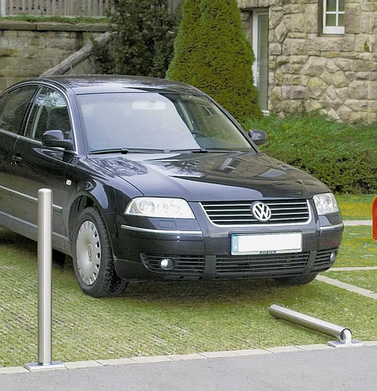 poller-canaria__shoKAT0017342 poller-canaria__shoKAT0017342