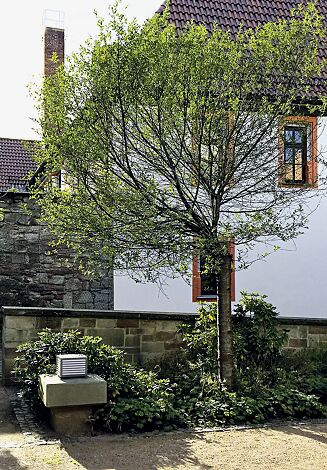 Pollerleuchte DIEST, Höhe 240 mm, kleiner Lichtaustritt