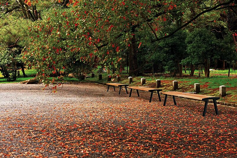 sitzbank-noale__shoKAT0060628 Sitzbank NOALE ohne Rückenlehne, mit Hartholzbelattung, Stahlteile in RAL 9005 tiefschwarz, mit Sitzplatzteiler (auf Anfrage)