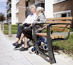 Seniorenbank SENIOR mit Rückenlehne, 1-Sitzer + Aussparung für Rollator + 1-Sitzer, mit 4 Armlehnen