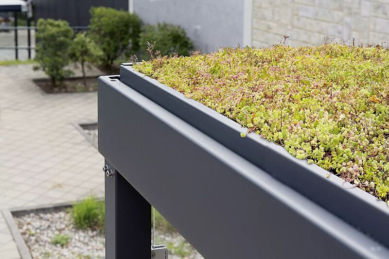 wartehalle-gemala-green__shoKAT0070761 Detail: Dachbegrünung