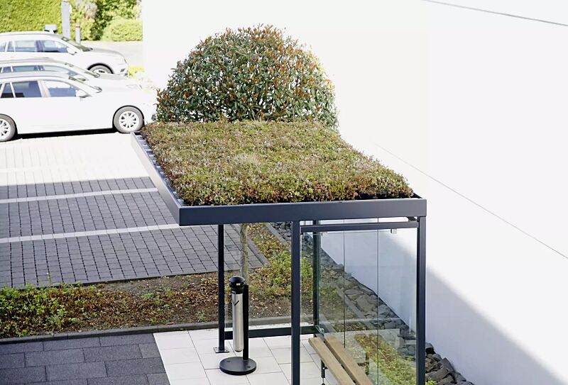 wartehalle-leonis-green__shoKAT0065407 Wartehalle LEONIS GREEN, Dachbegrünungssystem Economy, Dachbreite x Dachtiefe 3180 mm x 2165 mm, mit Rück- und Seitenwänden, Stahlkonstruktion in RAL 7016 anthrazitgrau