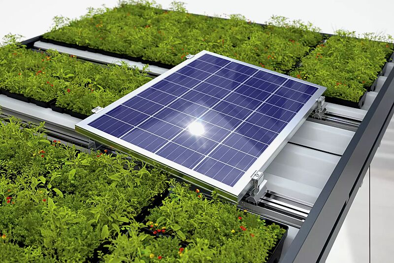 wartehalle-leonis-green__shoKAT0071896 wartehalle-leonis-green__shoKAT0071896