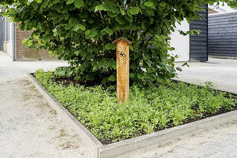 wildbienen-nistpfahl-bee__shoKAT0071617 Wildbienen-Nistpfahl BEE